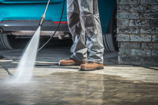 Best Soft Washing for Delicate Surfaces in El Campo, TX